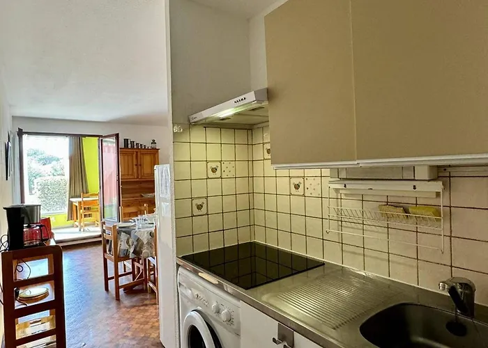 T2 Avec Clim, Piscine Et Parking, A 100m De La - Fr-1-529-294 * Ле Баркарес